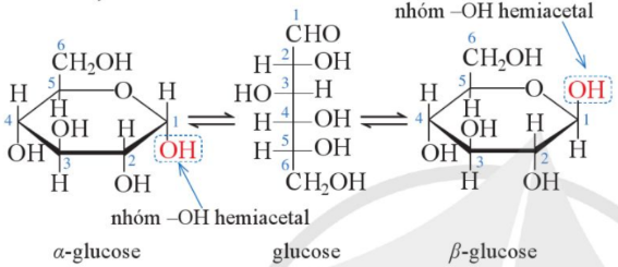 Hình 1. Các dạng cấu tạo thường gặp của  glucose