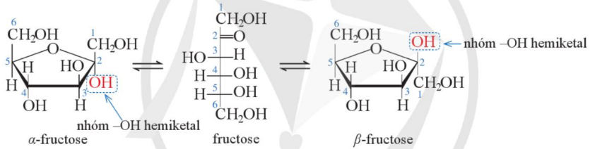 Hình 2. Các dạng cấu tạo thường gặp của fructose