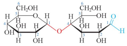 Hình 4. Cấu tạo của phân tử maltose ở dạng mở vòng.