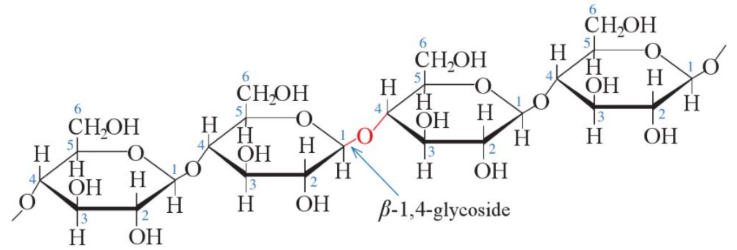 Hình 6. Công thức cấu tạo đoạn mạch cellulose.