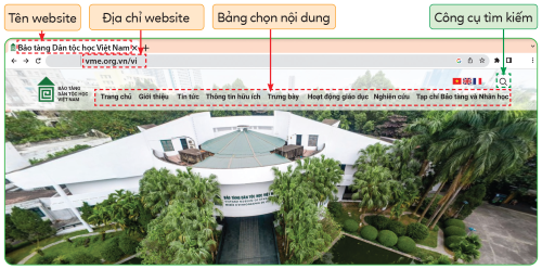 thành phần trên website, olm