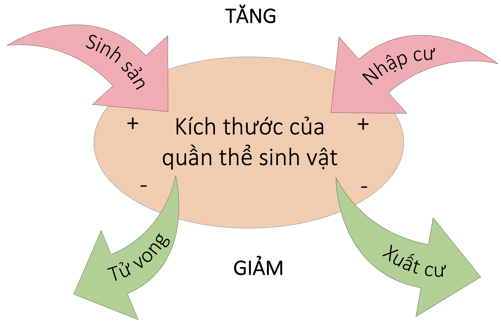 Kích Thước Quần Thể: Định Nghĩa, Ảnh Hưởng Và Vai Trò Trong Hệ Sinh Thái