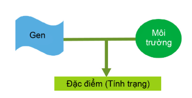 Công nghệ 10, olm, cánh diều