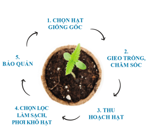 Công nghệ 10, olm, cánh diều