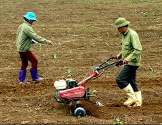 Công nghệ 10, olm, cánh diều