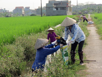 Công nghệ 10, kntt, olm