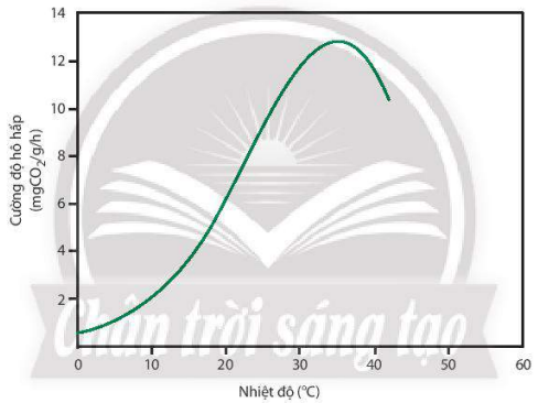 Đồ thị mô tả ảnh hưởng của nhiệt độ đến cường độ hô hấp ở thực vật