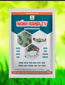 Công nghệ 10, olm, kntt