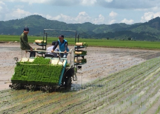 Công nghệ 10, olm, kntt