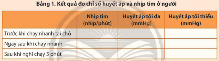 Kết quả đo chỉ số huyết áp và nhịp tim ở người