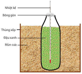 Thí nghiệm chứng minh quá trình hô hấp toả nhiệt