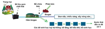 Công nghệ 11, Mô hình biogas trong chăn nuôi