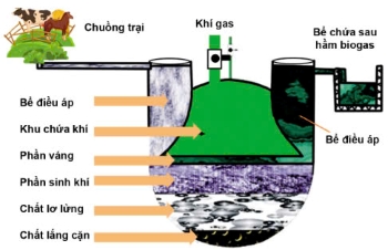 Công nghệ 11, Cấu tạo của bể biogas