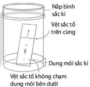 Bộ sắc kí giấy