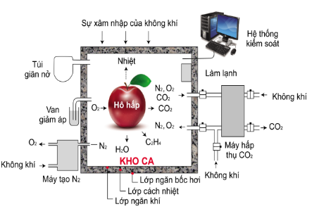 Công nghệ 10, olm, cánh diều