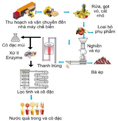 Công nghệ 10, olm, cánh diều