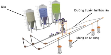 Công nghệ 11, Hệ thống cung cấp thức ăn tự động cho lợn