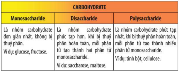 Bảng 1: Phân loại carbohydrate.