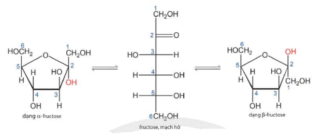 Sơ đồ chuyển hoá của fructose.