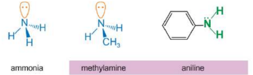 Cấu trúc phân tử methylamine và aniline