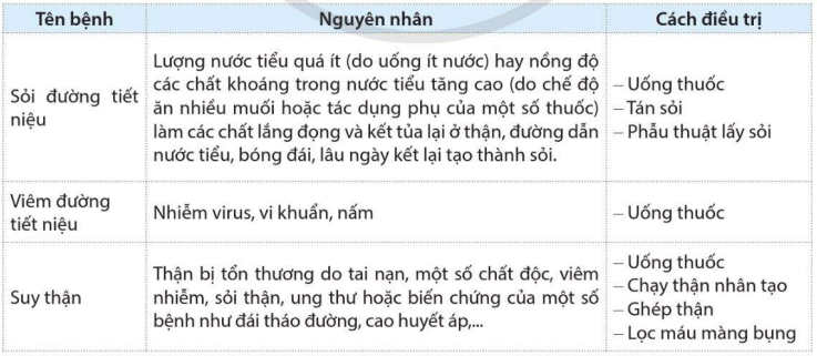 Một số bệnh liên quan đến cơ quan bài tiết 