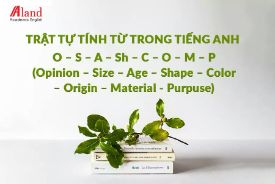 Hà Minh Anh - Fun English 42