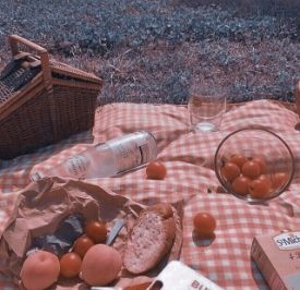 My greatest family picnic